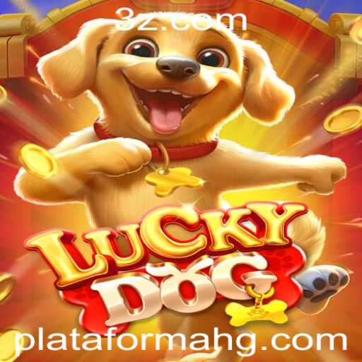 Explorando o Mundo de 'LuckyDog': Novidades e Regras na Plataforma HG